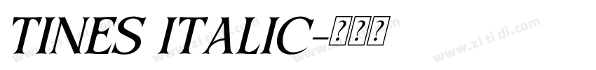 TINES ITALIC字体转换 TINES ITALIC字体转换